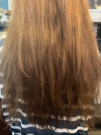 宮崎県宮崎市から「トリートメントが得意な」美容院・美容室