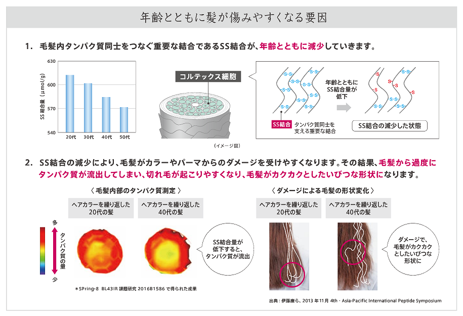 SS結合の減少