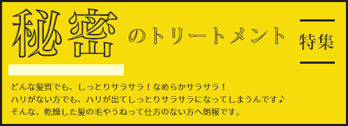 秘密のトリートメント