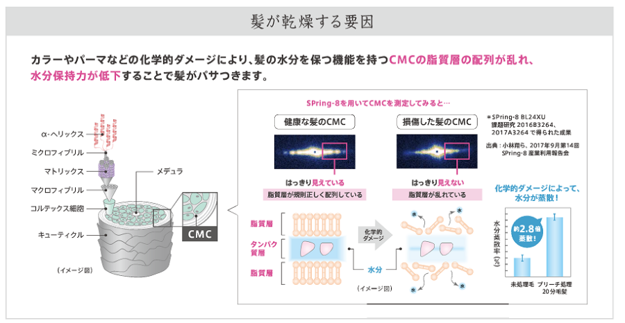 髪が乾燥する要因