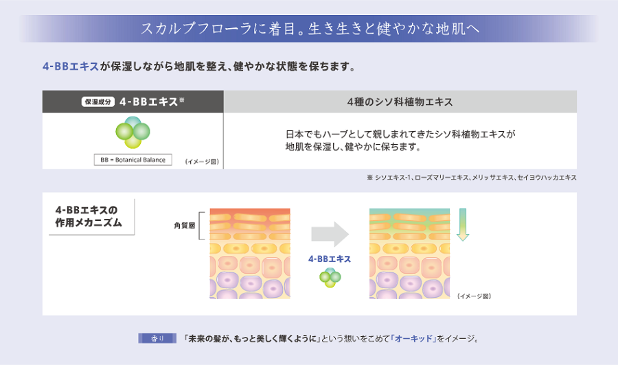コリネバクテリウムの毛根部分への影響